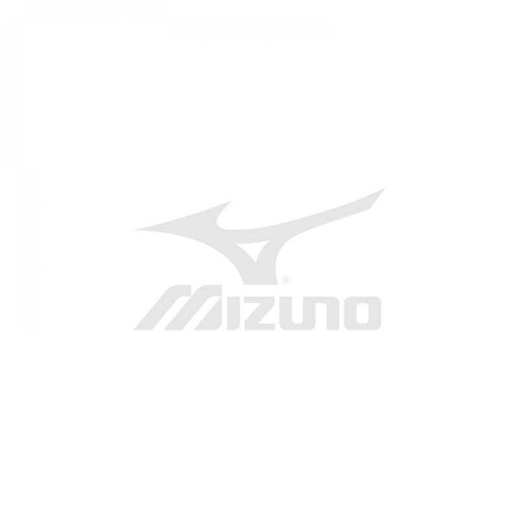Scarpe Mizuno S.L.Wave Rider 10