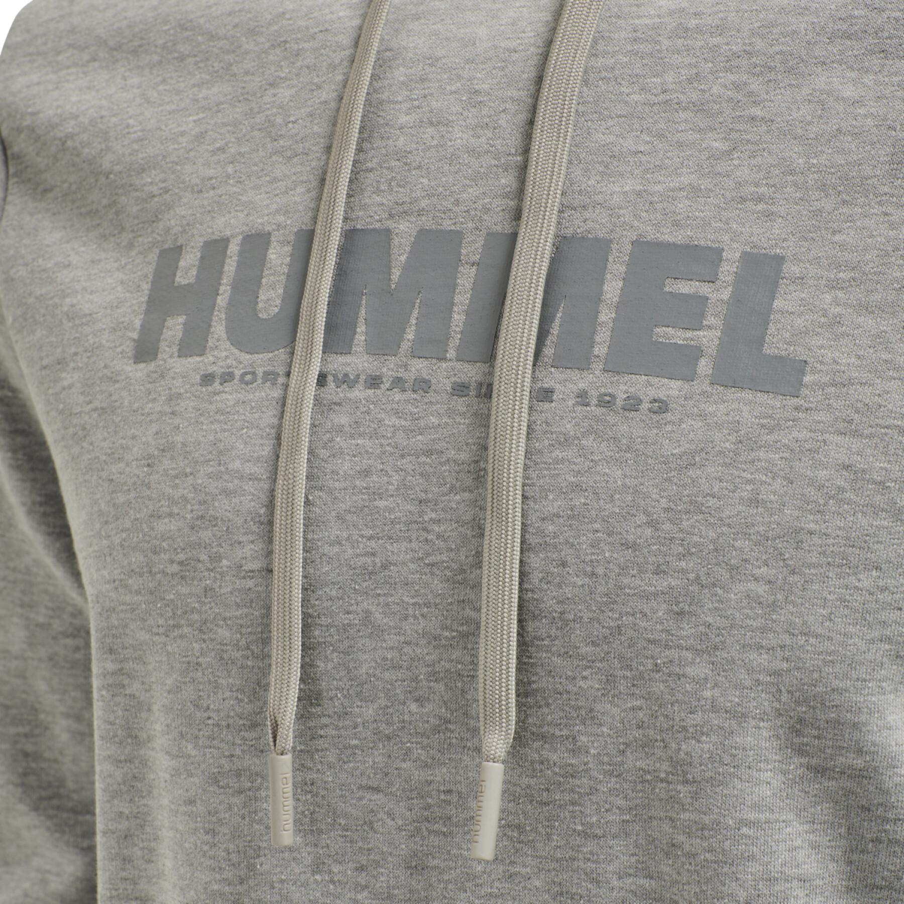 Felpa con cappuccio Hummel Legacy Logo Plus