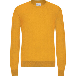 Maglione Colorful Standard Burned Yellow