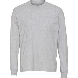 Maglietta a maniche lunghe Colorful Standard Organic oversized heather grey