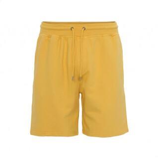 Pantaloncini Colorful Standard Classic Organic burned yellow