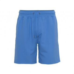 Pantaloncini Colorful Standard Classic Organic pacific blue