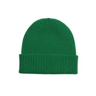 Cappello di lana Colorful Standard Merino kelly green