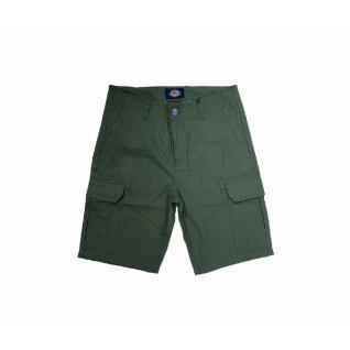 Shorts Dickies Millerville Military