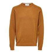 Pullover Selected Newcoban lambs wool col rond
