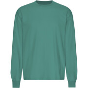 T-shirt oversize a maniche lunghe Colorful Standard Organic Pine Green