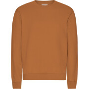 Maglione Colorful Standard Classic Organic Ginger Brown