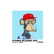 Maglietta Tealer Stone Blazing Monkey