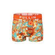 Boxer Pull-in Master Goldpalm22