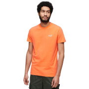 T-shirt in cotone Superdry Essential Logo