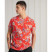 M1011032A-4HC Rosso hawaiano